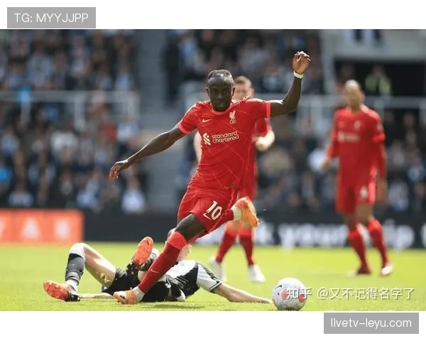 卢顿镇重返英超，坚韧复兴之路点燃希望