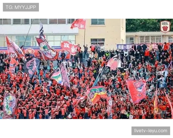 南粤帮联动广州队球迷，共筑足球文化新高地