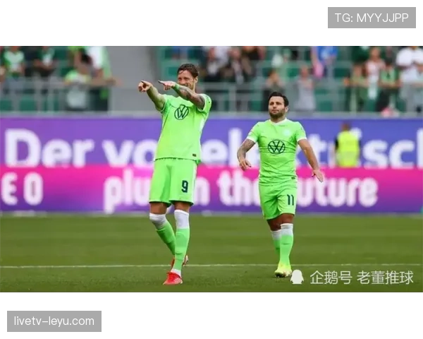 狼堡赛季预测 狼堡赛季预测