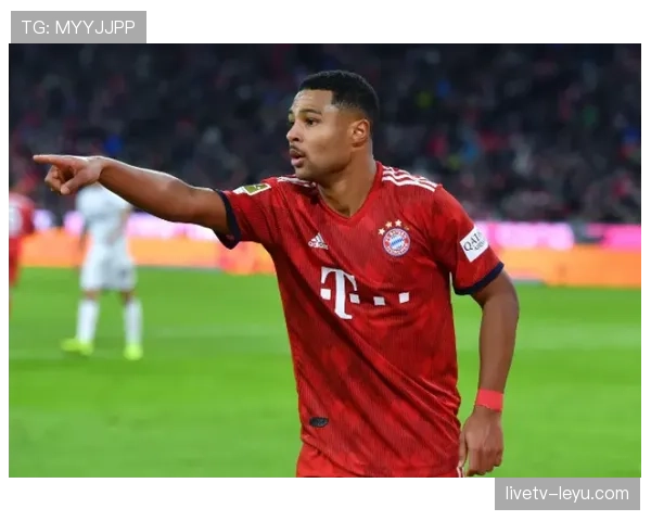 格纳布里世界杯表现解析 格纳布里世界杯表现解析