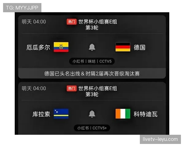 德国世界杯E组晋级回顾：头名进入淘汰赛